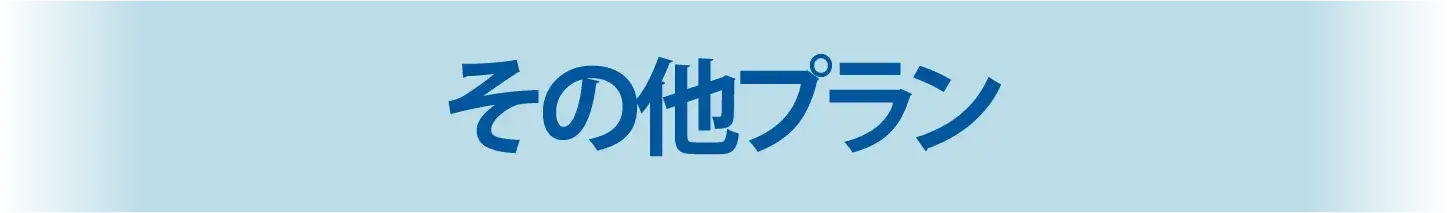 その他プラン